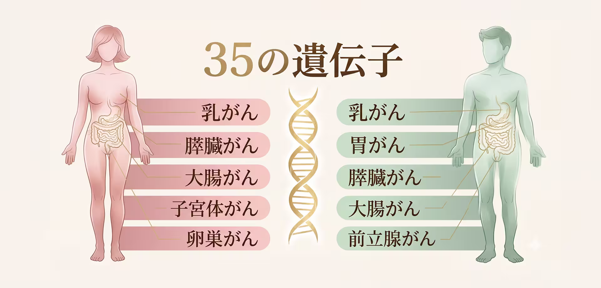 がんと関連する35の遺伝子